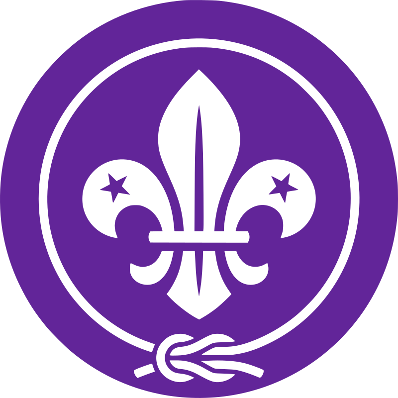 WOSM - World Organization of the Scout Movement